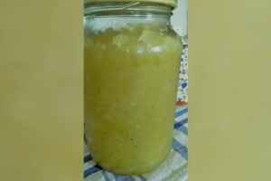 Receita: Doce de Mamão Diet - Raquel Araújo